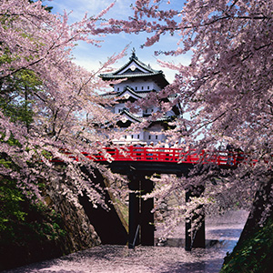 八木橋スタジオ - 実績 - Work＆Nature 画像