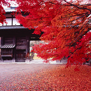 八木橋スタジオ - 実績 - Work＆Nature 画像