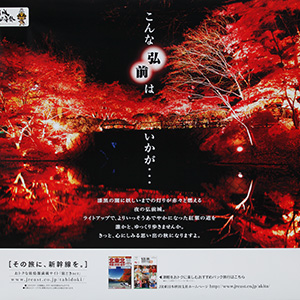 八木橋スタジオ - 実績 - Work＆Nature 画像