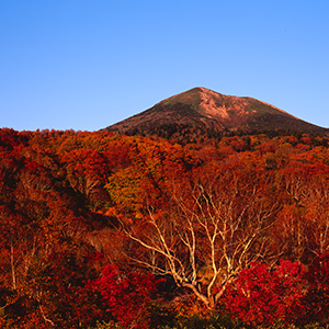 八木橋スタジオ - 実績 - Work＆Nature 画像