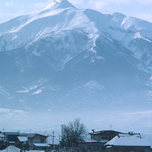 八木橋スタジオ - 実績 - Work＆Nature 画像