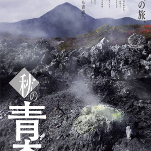 八木橋スタジオ - 実績 - Work＆Nature 画像